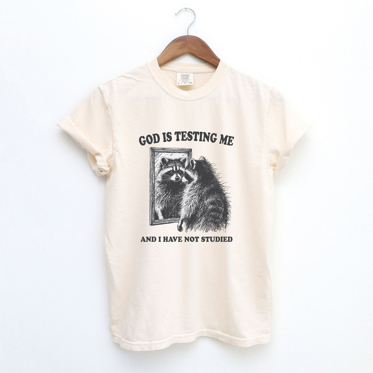God Is Testing Me, Funny Unisex Tee, Possum T-Shirt, Meme T-Shirt, Trash Panda Shirt, Vintage style Shirt, Raccoon Meme Shirt, Mens Shirt