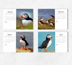 Puffins Desk Calendar 2027-2028: Standing Flip Desktop Calendar with Thick Paper (15.25cm x 22cm - similar to A5)