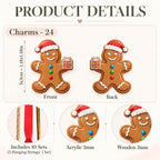 Nurse Advent Calendar HG 2026, 24 Days Christmas Countdown, Nurse Christmas Gift, RN Nursing Gift, Medical Acrylic Ornament Set